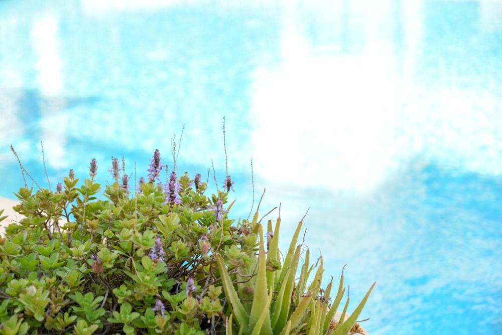 Royal seacrest А203 sea view apartment Paphos Exterior foto