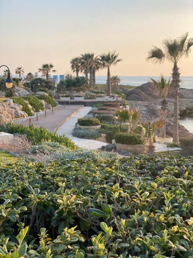 Royal seacrest А203 sea view apartment Paphos Exterior foto